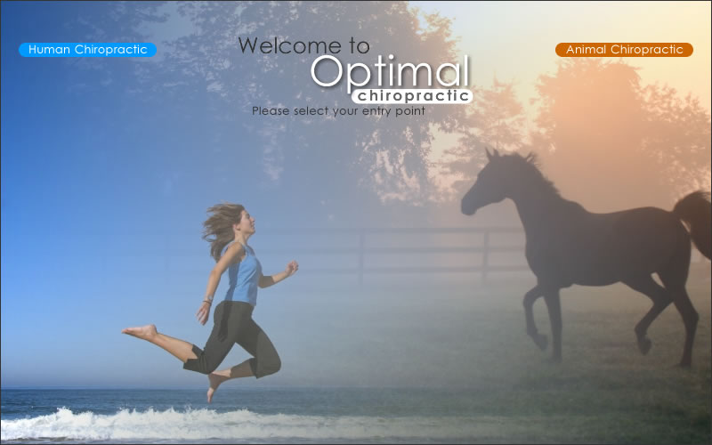 Optimal Chiropractic Entrance. Please choose Human or Animal Chiropractic